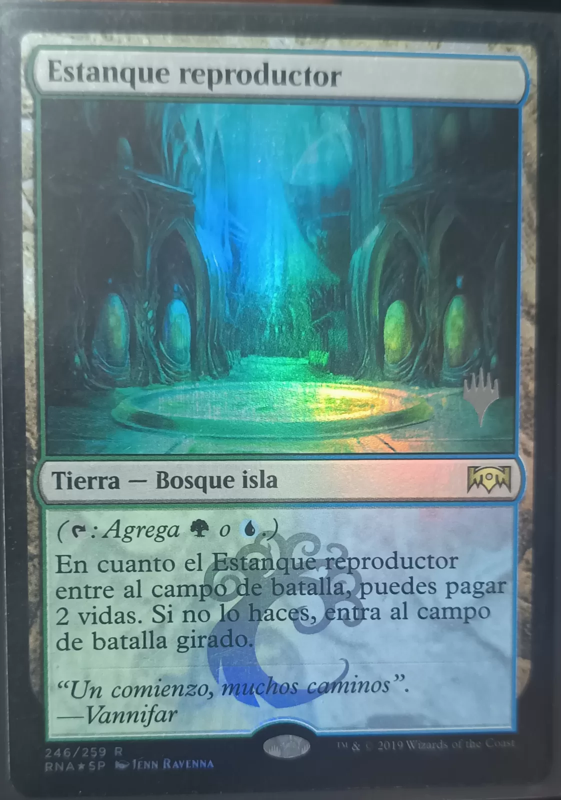 Breeding Pool