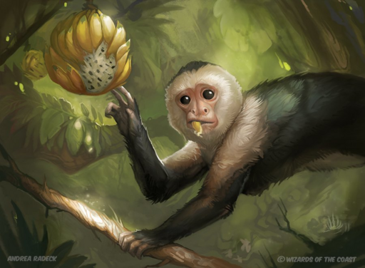 Magic Monkey store 
