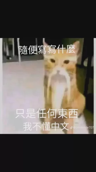 Bgstorecl