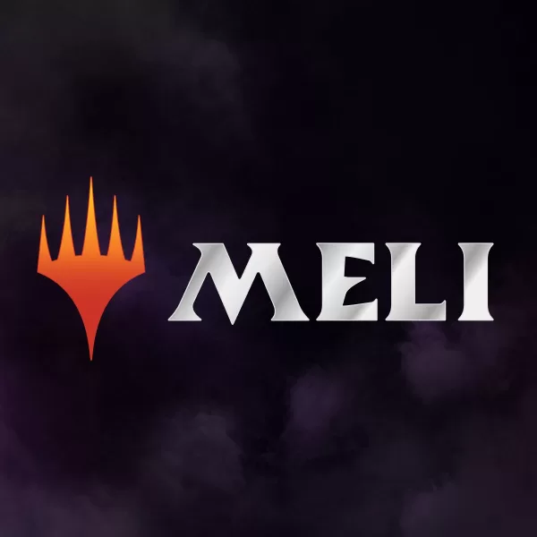 Meli store
